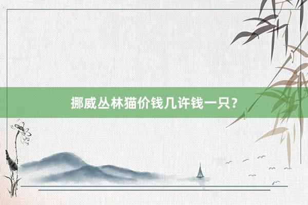 挪威丛林猫价钱几许钱一只？