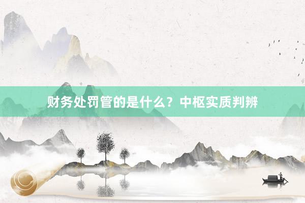 财务处罚管的是什么？中枢实质判辨